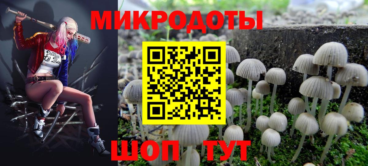 Галлюциногенные грибы мицелий  Вход с VPN  Россия 